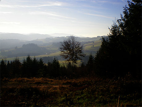 Breitnau im  Schwarzwald 
