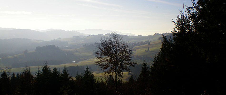 Breitnau im  Schwarzwald 
